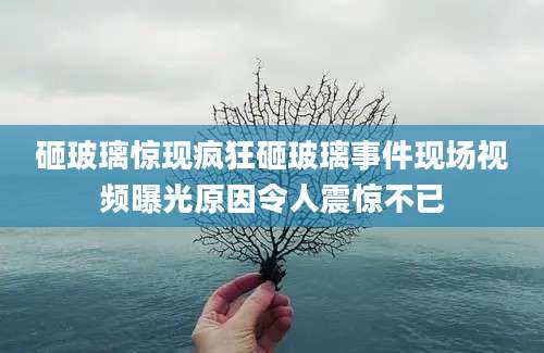 砸玻璃惊现疯狂砸玻璃事件现场视频曝光原因令人震惊不已