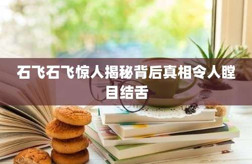 石飞石飞惊人揭秘背后真相令人瞠目结舌