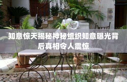 知意惊天揭秘神秘组织知意曝光背后真相令人震惊
