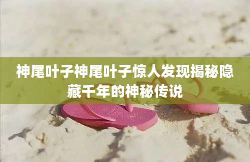 神尾叶子神尾叶子惊人发现揭秘隐藏千年的神秘传说