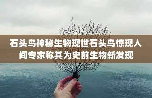 石头鸟神秘生物现世石头鸟惊现人间专家称其为史前生物新发现