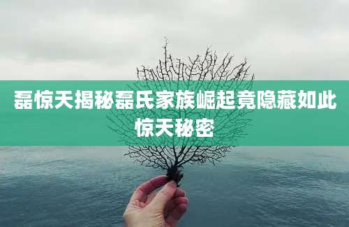 磊惊天揭秘磊氏家族崛起竟隐藏如此惊天秘密