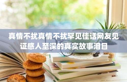 真情不扰真情不扰罕见佳话网友见证感人至深的真实故事泪目