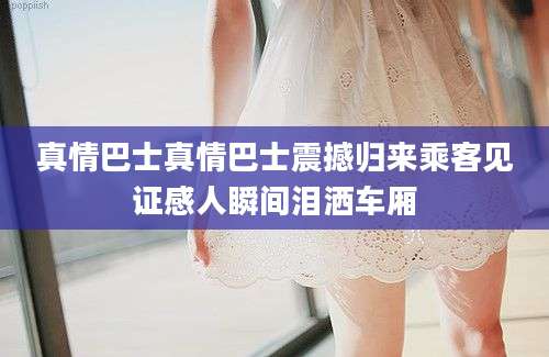 真情巴士真情巴士震撼归来乘客见证感人瞬间泪洒车厢