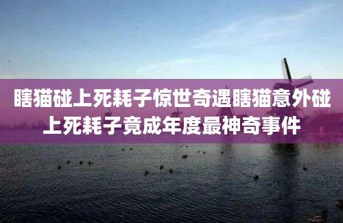 瞎猫碰上死耗子惊世奇遇瞎猫意外碰上死耗子竟成年度最神奇事件