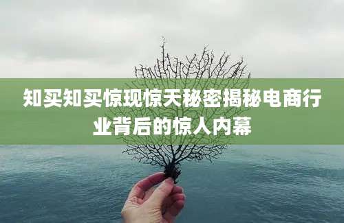知买知买惊现惊天秘密揭秘电商行业背后的惊人内幕
