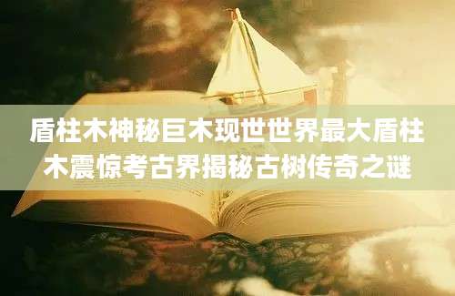 盾柱木神秘巨木现世世界最大盾柱木震惊考古界揭秘古树传奇之谜