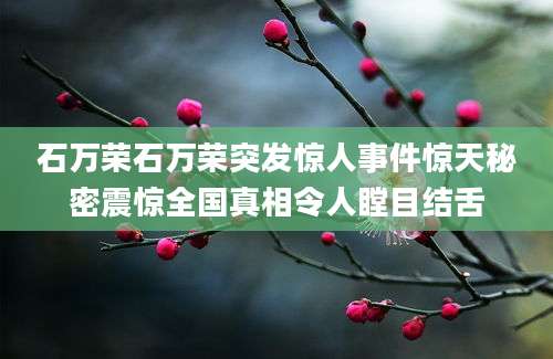 石万荣石万荣突发惊人事件惊天秘密震惊全国真相令人瞠目结舌