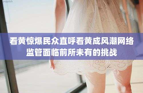 看黄惊爆民众直呼看黄成风潮网络监管面临前所未有的挑战