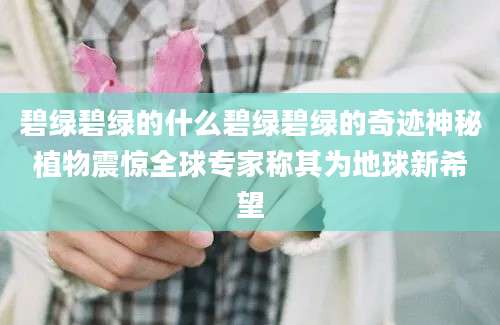 碧绿碧绿的什么碧绿碧绿的奇迹神秘植物震惊全球专家称其为地球新希望