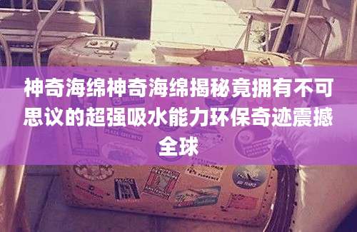 神奇海绵神奇海绵揭秘竟拥有不可思议的超强吸水能力环保奇迹震撼全球