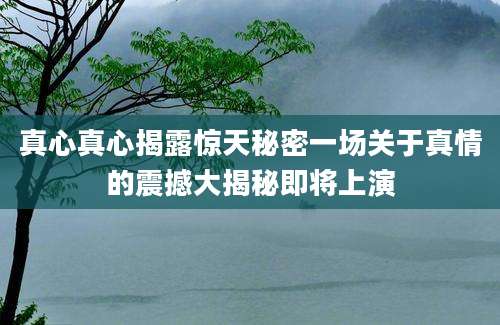 真心真心揭露惊天秘密一场关于真情的震撼大揭秘即将上演