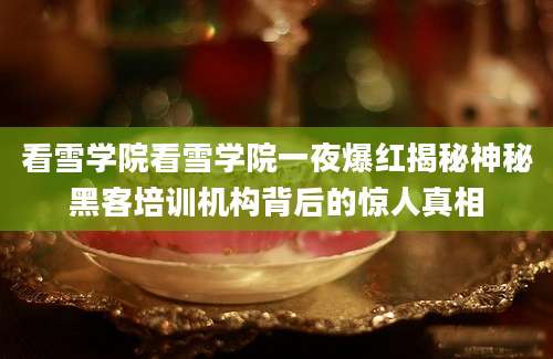 看雪学院看雪学院一夜爆红揭秘神秘黑客培训机构背后的惊人真相