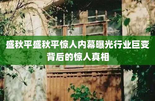 盛秋平盛秋平惊人内幕曝光行业巨变背后的惊人真相