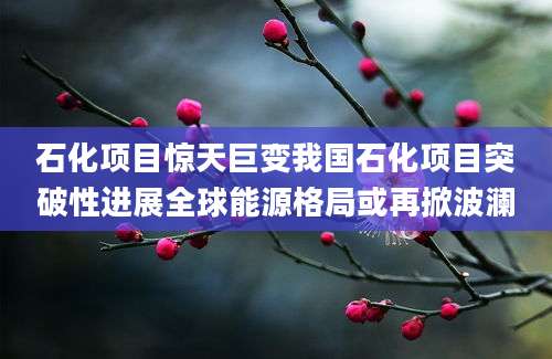 石化项目惊天巨变我国石化项目突破性进展全球能源格局或再掀波澜