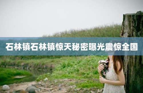 石林镇石林镇惊天秘密曝光震惊全国