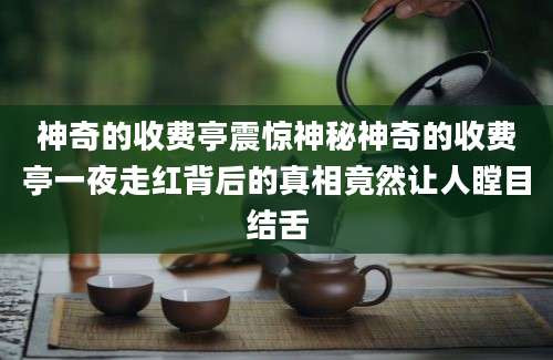 神奇的收费亭震惊神秘神奇的收费亭一夜走红背后的真相竟然让人瞠目结舌
