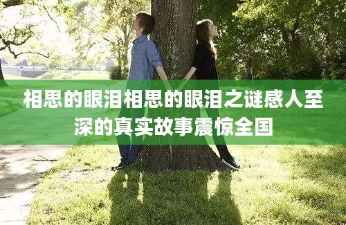 相思的眼泪相思的眼泪之谜感人至深的真实故事震惊全国