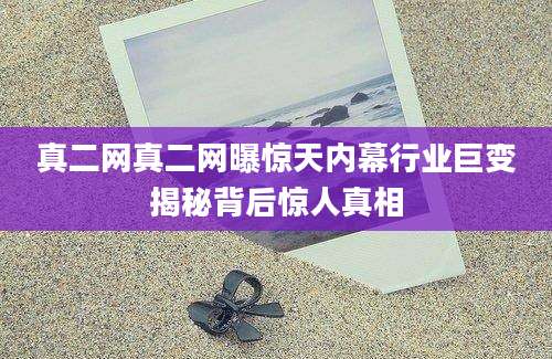 真二网真二网曝惊天内幕行业巨变揭秘背后惊人真相