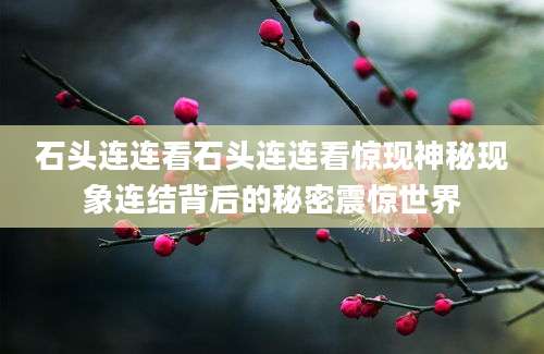 石头连连看石头连连看惊现神秘现象连结背后的秘密震惊世界