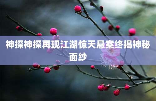 神探神探再现江湖惊天悬案终揭神秘面纱