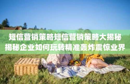 短信营销策略短信营销策略大揭秘揭秘企业如何玩转精准轰炸震惊业界