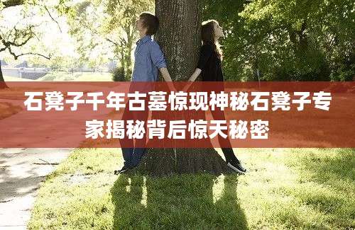 石凳子千年古墓惊现神秘石凳子专家揭秘背后惊天秘密