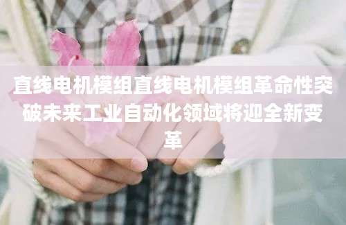直线电机模组直线电机模组革命性突破未来工业自动化领域将迎全新变革