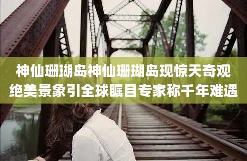 神仙珊瑚岛神仙珊瑚岛现惊天奇观绝美景象引全球瞩目专家称千年难遇