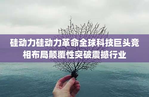 硅动力硅动力革命全球科技巨头竞相布局颠覆性突破震撼行业