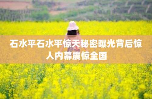 石水平石水平惊天秘密曝光背后惊人内幕震惊全国