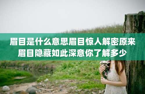 眉目是什么意思眉目惊人解密原来眉目隐藏如此深意你了解多少