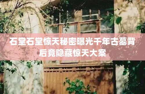 石堂石堂惊天秘密曝光千年古墓背后竟隐藏惊天大案