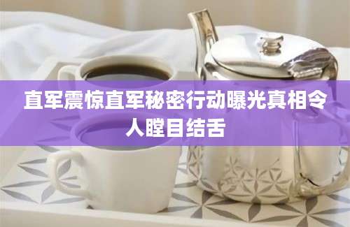 直军震惊直军秘密行动曝光真相令人瞠目结舌