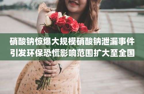 硝酸钠惊爆大规模硝酸钠泄漏事件引发环保恐慌影响范围扩大至全国