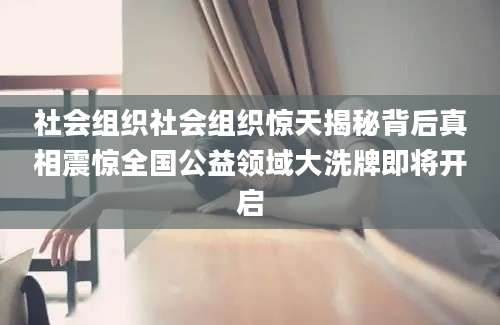 社会组织社会组织惊天揭秘背后真相震惊全国公益领域大洗牌即将开启