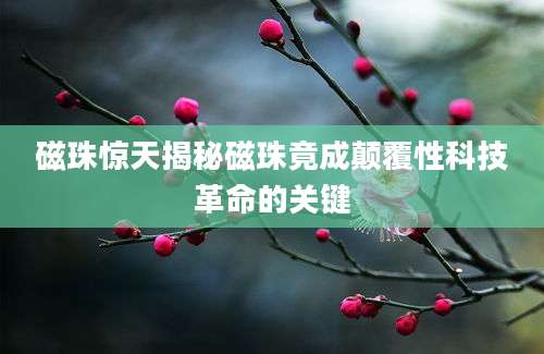 磁珠惊天揭秘磁珠竟成颠覆性科技革命的关键