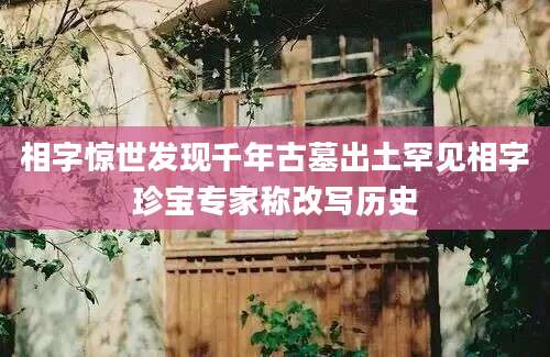相字惊世发现千年古墓出土罕见相字珍宝专家称改写历史