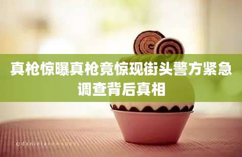 真枪惊曝真枪竟惊现街头警方紧急调查背后真相
