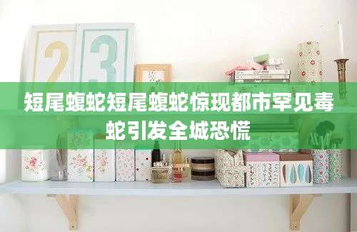 短尾蝮蛇短尾蝮蛇惊现都市罕见毒蛇引发全城恐慌