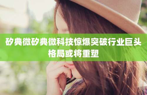 矽典微矽典微科技惊爆突破行业巨头格局或将重塑
