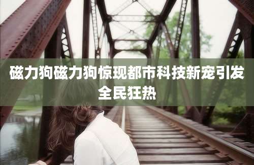 磁力狗磁力狗惊现都市科技新宠引发全民狂热