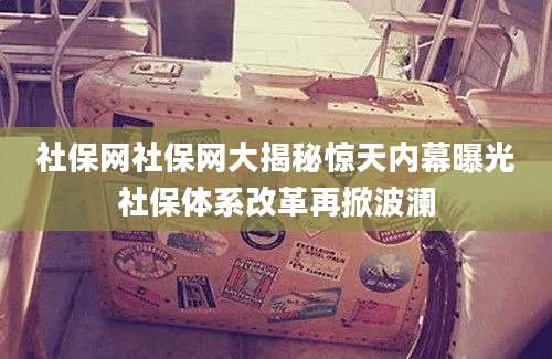 社保网社保网大揭秘惊天内幕曝光社保体系改革再掀波澜