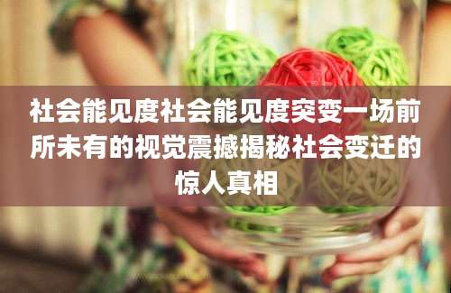 社会能见度社会能见度突变一场前所未有的视觉震撼揭秘社会变迁的惊人真相