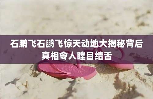 石鹏飞石鹏飞惊天动地大揭秘背后真相令人瞠目结舌