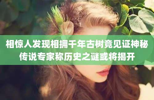 相惊人发现相拥千年古树竟见证神秘传说专家称历史之谜或将揭开