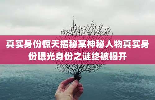 真实身份惊天揭秘某神秘人物真实身份曝光身份之谜终被揭开