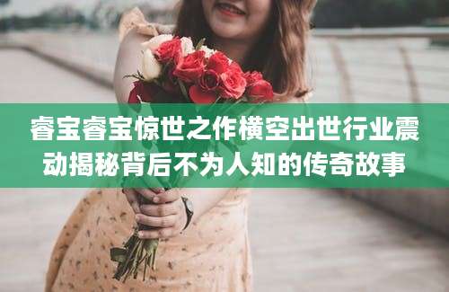 睿宝睿宝惊世之作横空出世行业震动揭秘背后不为人知的传奇故事