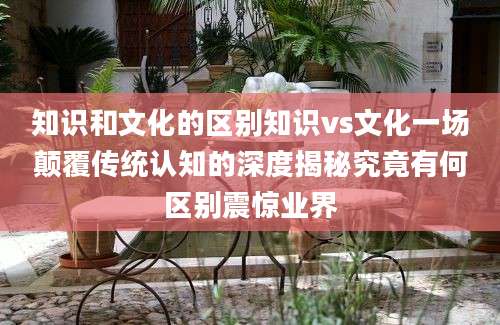 知识和文化的区别知识vs文化一场颠覆传统认知的深度揭秘究竟有何区别震惊业界