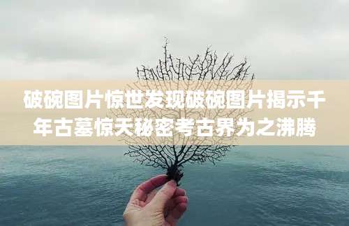 破碗图片惊世发现破碗图片揭示千年古墓惊天秘密考古界为之沸腾